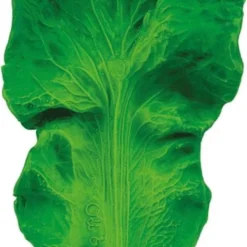 Oli & Carol - Badspeelgoed - Kendall The Kale