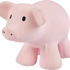 Tikiri Badspeeltje Met Belletje Varken -Aanbiedingen badspeelgoed Winkel 550x485 3