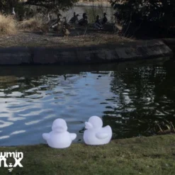 Luminnox | Badeend Peter | 34 X 30 X 27 Cm -Aanbiedingen badspeelgoed Winkel 550x510 7