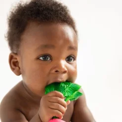 Oli & Carol Bijtspeeltje Radijs -Aanbiedingen badspeelgoed Winkel 550x550 321