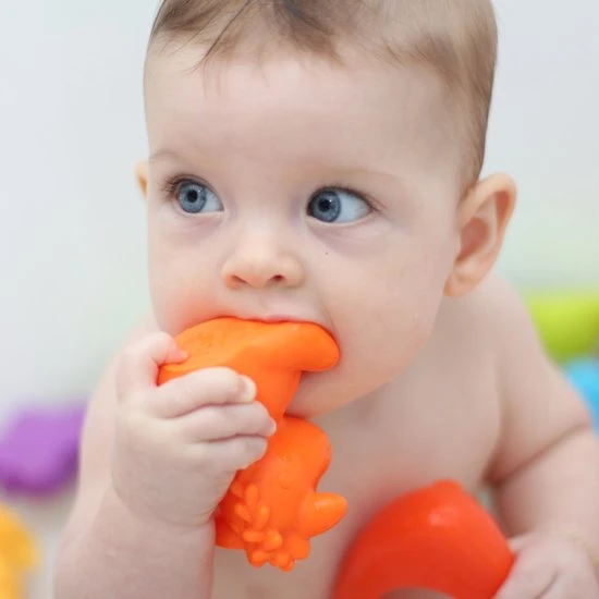 Playgro Geschenkset Kadoset Badspeeltjes Jungle Dieren - 8st - Volledig Afgesloten - Schimmelvrij 10 Playgro Geschenkset Kadoset Badspeeltjes Jungle Dieren - 8st - Volledig Afgesloten - Schimmelvrij - Afbeelding 10