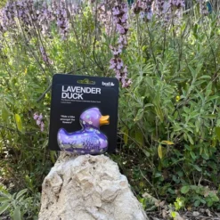 Luxury LAVENDER DUCK - Luxe Badeendje Budduck.com Lavendel 10cm -Aanbiedingen badspeelgoed Winkel 550x733 24