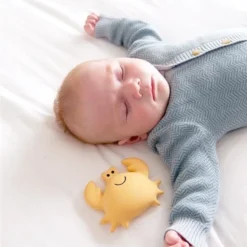 Tikiri Badspeeltje Met Belletje Krab 13 Tikiri Badspeeltje Met Belletje Krab -Aanbiedingen badspeelgoed Winkel 550x828 2