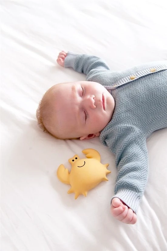 Tikiri Badspeeltje Met Belletje Krab 3 Tikiri Badspeeltje Met Belletje Krab - Afbeelding 3